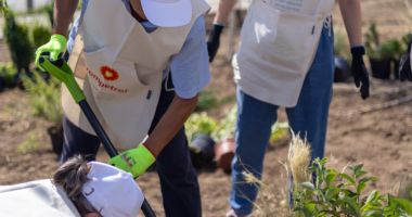 Rompetrol susține extinderea spațiilor verzi din Năvodari - 3
