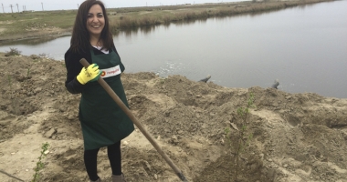 Angajații KMG International, acțiune de voluntariat în județul Constanța: 2.200 de copaci plantați în Corbu - 10