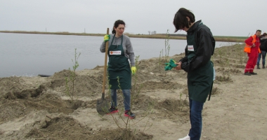 Angajații KMG International, acțiune de voluntariat în județul Constanța: 2.200 de copaci plantați în Corbu - 4