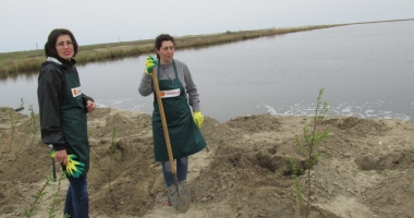 Angajații KMG International, acțiune de voluntariat în județul Constanța: 2.200 de copaci plantați în Corbu - 5
