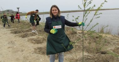 Angajații KMG International, acțiune de voluntariat în județul Constanța: 2.200 de copaci plantați în Corbu - 7