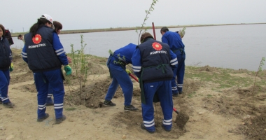 Angajații KMG International, acțiune de voluntariat în județul Constanța: 2.200 de copaci plantați în Corbu - 8