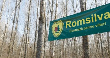 Stire din Social : Fechet vrea restructurări la Romsilva: „Când devii ministru al Mediului, ești sfătuit să nu te cerți cu vânătorii și pădurarii”