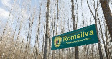 Stire din Actualitate : Romsilva, dată în judecată pentru refuzul de a oferi informații despre salariile conducerii