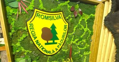 Stire din Actualitate : După scandalul primelor uriașe, conducerea Romsilva este invitată la Comisia pentru mediu din Camera Deputaţilor