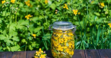 Stire din Sănătate : Rostopasca poate reduce severitatea refluxului gastroesofagian