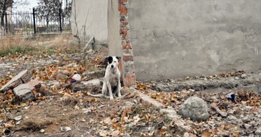 Ce se ascunde în spatele celui mai mare mall din Constanța - 5
