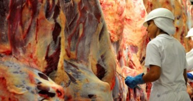 Stire din Actualitate : Rusia a interzis importurile de carne de vită și de bovine din România