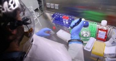 Stire din Actualitate : Japonia este gata să ofere un tratament împotriva Ebola