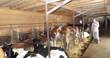 Stire din Economie : S-a aprobat bugetul pentru sectorul zootehnic. Iată ce sumă a fost alocată!