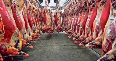 Stire din Economie : Sacrificările de animale s-au redus