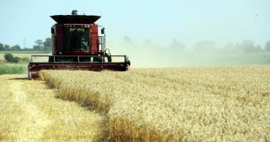 Stire din Economie : S-a dat startul campaniei de recoltare a orzului și orzoaicei