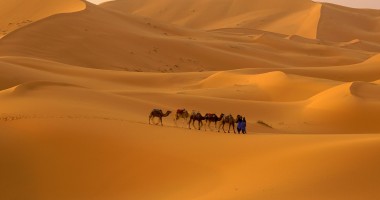 Stire din Social : Un val de praf din deșertul Sahara va acoperi România
