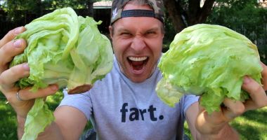 Ești stresat ? Mănâncă salată verde!