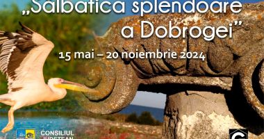 „Sălbatica splendoare a Dobrogei” – filmul documentar care va prezenta frumusețea, biodiversitatea și atracțiile naturale ale ținutului dintre Dunăre și Marea Neagră