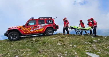 Intervenție de urgență după ce șase urși au blocat un grup de turiști pe munte