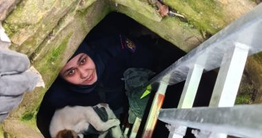 Stire din Eveniment : Salvator pentru doi cățeluși, căzuți într-o canalizare adâncă