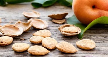 Stire din Sănătate : Cât de periculos este să consumi sâmburi de caise