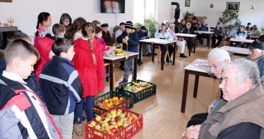 Stire din Cultură-Educație : Elevii din Medgidia au ajutat bătrânii și familiile nevoiașe