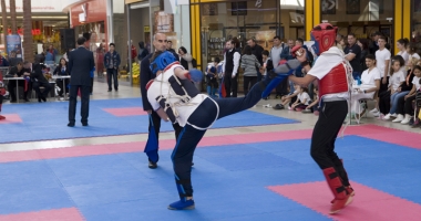 Șapte cluburi din județ, prezente la Campionatul Național de Kung-Fu