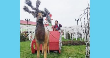 Stire din Politică-Administrație : Localnicii din Saraiu sunt invitaţi în „Parcul lui Moş Crăciun”