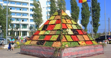 Consiliul Județean, pregătiri pentru "Sărbătoarea Recoltei și a Vinului Dobrogean" - 2