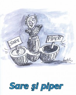 Stire din Cultură-Educație : Semnal de carte: "Sare și piper", de Constantin Lambă
