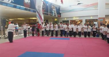 Au început înscrierile  la Campionatul Național  de Kung-Fu  de la Constanța - 2