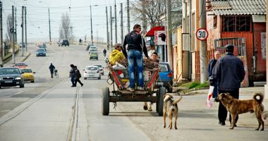 Scandal între un căruțaș și polițiștii locali. Bărbatul a fost încătușat - 2