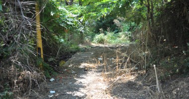Pârloagă, gunoaie și mirosuri pestilențiale, în zona de acces spre Plaja Modern - 8