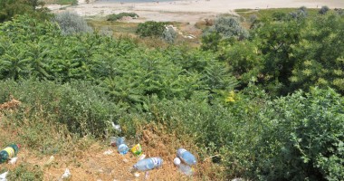 Pârloagă, gunoaie și mirosuri pestilențiale, în zona de acces spre Plaja Modern - 5
