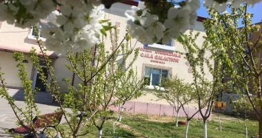 Școala "Gala Galaction" din Mangalia luptă pentru obținerea unui nou spațiu - 3