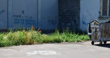 Buruieni și pisici moarte în curtea Școlii nr. 22! "Aruncă peste gard tot felul de gunoaie!" - 3