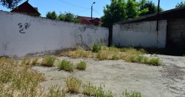 Buruieni și pisici moarte în curtea Școlii nr. 22! "Aruncă peste gard tot felul de gunoaie!" - 4
