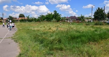 Buruieni și pisici moarte în curtea Școlii nr. 22! "Aruncă peste gard tot felul de gunoaie!" - 5