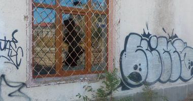 Fostă școală, viitoare groapă de gunoi a Constanței! - 6