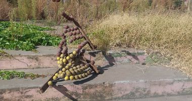 Fostă școală, viitoare groapă de gunoi a Constanței! - 9