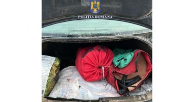 Stire din Eveniment : A condus fără permis și a fost depistat încercând să vândă pește fără documente