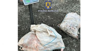 A condus fără permis și a fost depistat încercând să vândă pește fără documente - 2