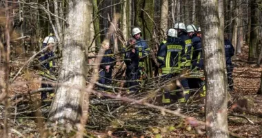 Stire din Actualitate : Trei victime, printre care un bebeluș, după ce un copac s-a prăbușit peste grup