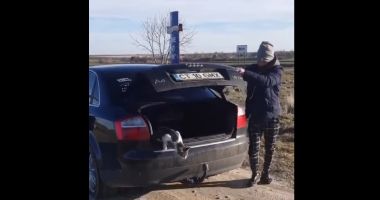 Stire din Eveniment : Au arătat pe internet cum au abandonat o pisică pe câmp, iar acum sunt căutați de autorități