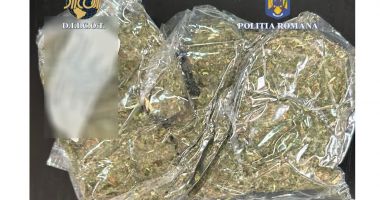 Trei minori, depistați într-o bandă de traficanți de droguri din Tulcea! - 2