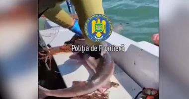 Stire din Eveniment : Captură impresionantă, descoperită de Garda de Coastă! Polițiștii au eliberat un rechin din plase