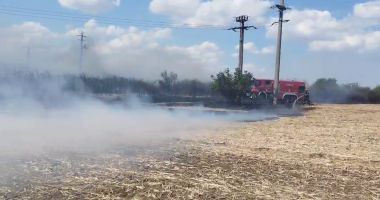 Stire din Eveniment : UPDATE Circulația pe A2 este deviată din cauza unui incendiu de vegetație, din județul Constanța