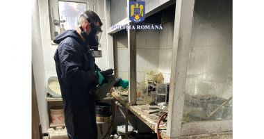 Substanțe explozive interzise, găsite în casa unui bărbat de 71 de ani din satul Arsa - 2
