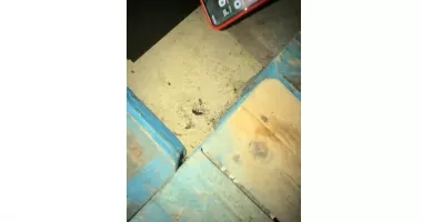 Stire din Social : Descoperiri alarmante într-un club frecventat din Constanța! Ce au descoperit inspectorii