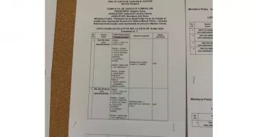 Cristian Radu, față în față cu magistrații de la Înalta Curte de Casație și Justiție - 3