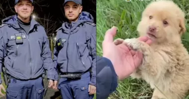 Stire din Eveniment : Misiune specială la Siliștea. Polițiștii au salvat doi câini abandonați
