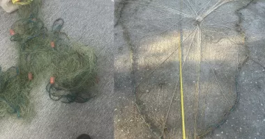 Bărbat suspect, interceptat de jandarmi pe malul Dunării - 2