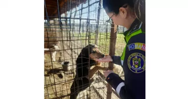 Protecția Animalelor a ieșit pe teren. Nereguli descoperite în mai multe localități - 3